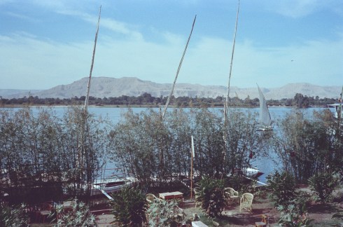 Nile Garden