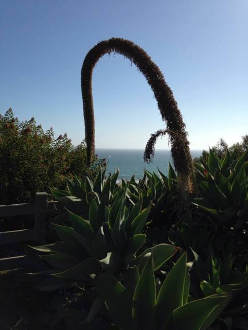 Sea Portal ::mX:: #phontography