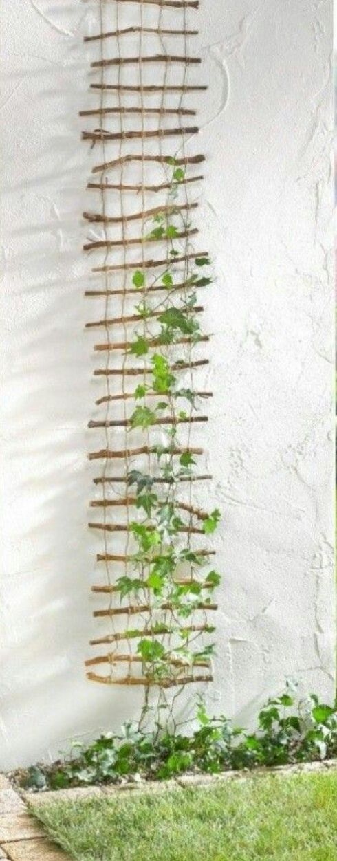 5c3c93c7174de302b84ddf00bc2fb969